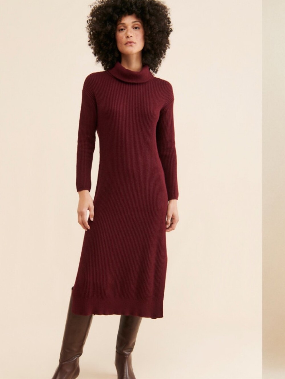 Carlotta Turtleneck Sweater Dress